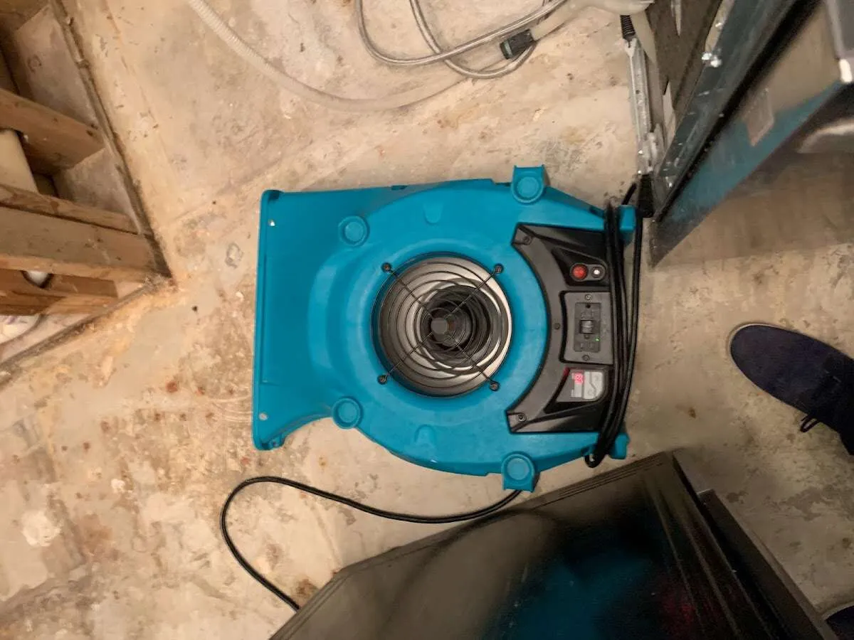 Air mover drying equipment for Mold Remediation & Removal in The Colony