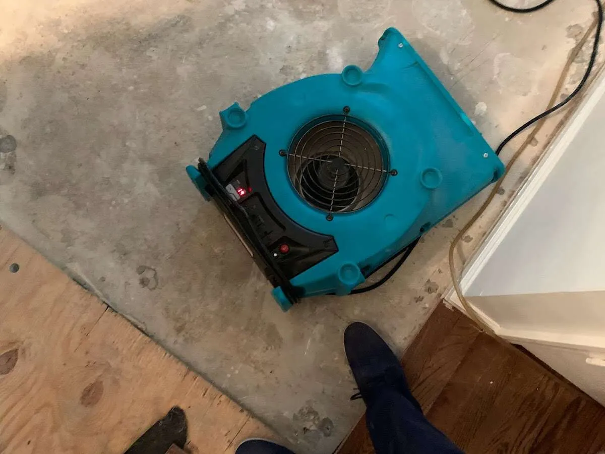 Air mover drying subfloor during Leak Detection & Repair in The Colony